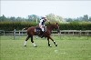 UKPA NC SAT_2695